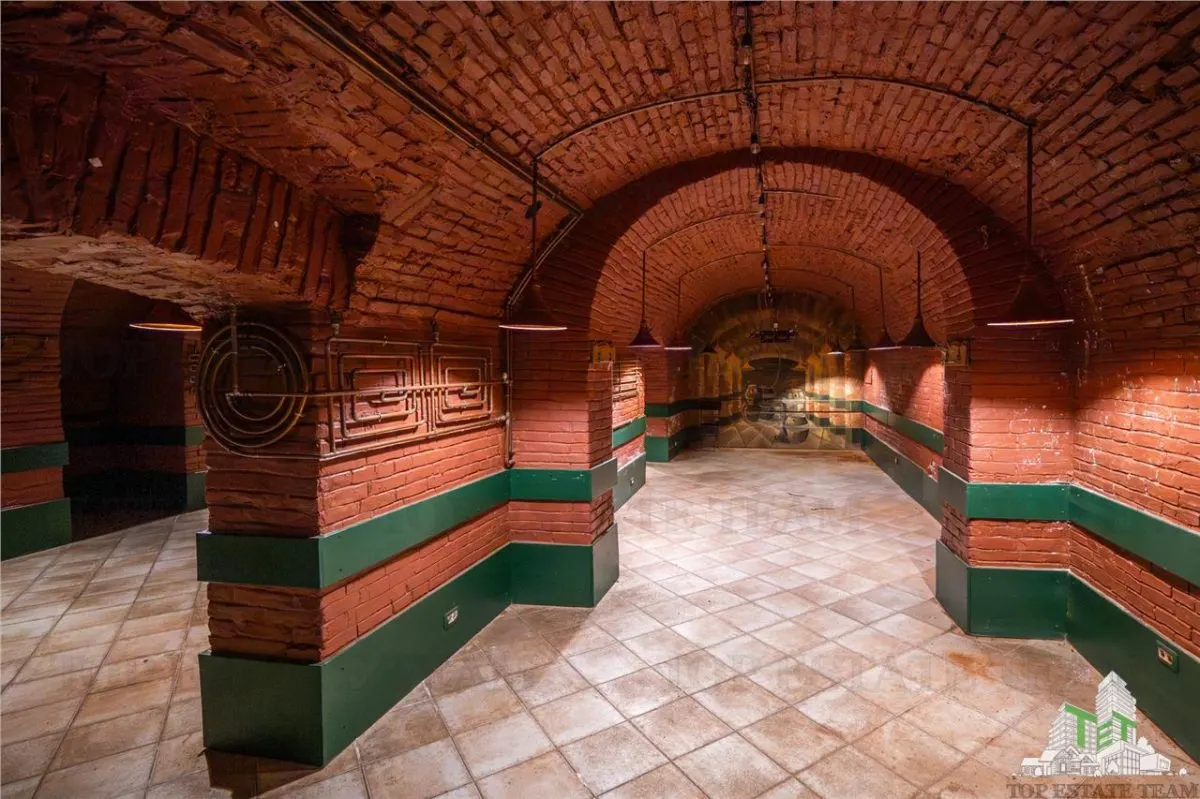Proprietate Piata Unirii - teren  1000mp +  2 constructii - foto 9