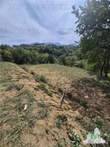 Teren intravilan pentru investitie turistica, 4000 mp, langa Club Vila Bran cu peisaj de poveste - foto 3