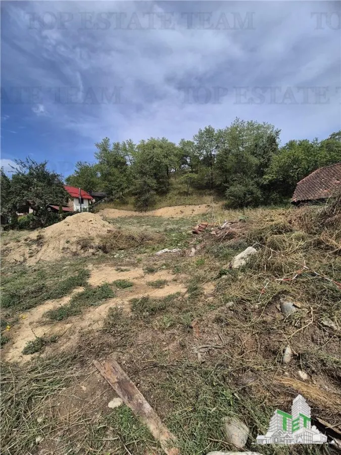 Teren intravilan pentru investitie turistica, 4000 mp, langa Club Vila Bran cu peisaj de poveste - foto 5
