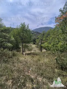 Teren intravilan pentru investitie turistica, 4000 mp, langa Club Vila Bran cu peisaj de poveste - foto 6