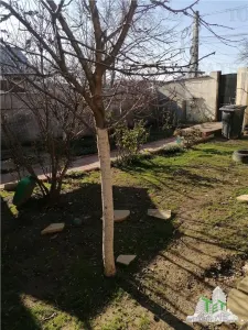 Casa spatioasa 4 camere cu gradina frumoasa langa Bucuresti, Glina - foto 3