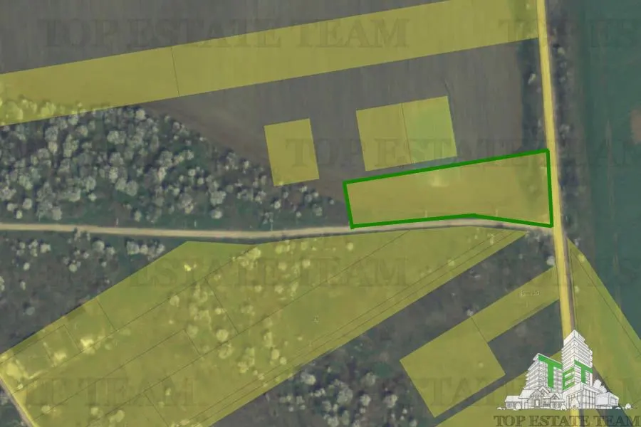 Teren Intravilan pentru constructie, 3000mp, Branesti, Ilfov - foto 4