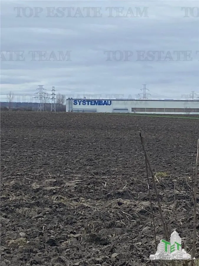 Teren Extravilan 10.000 mp in Prahova - foto 3