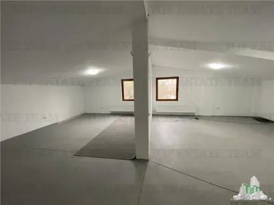 Casa de inchiriat activitate comerciala, zona Doamna Ghica - foto 11