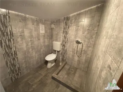 Casa de inchiriat activitate comerciala, zona Doamna Ghica - foto 14