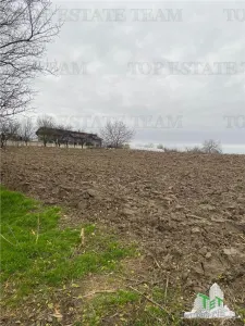 Teren 12223 mp in Prahova - Berceni