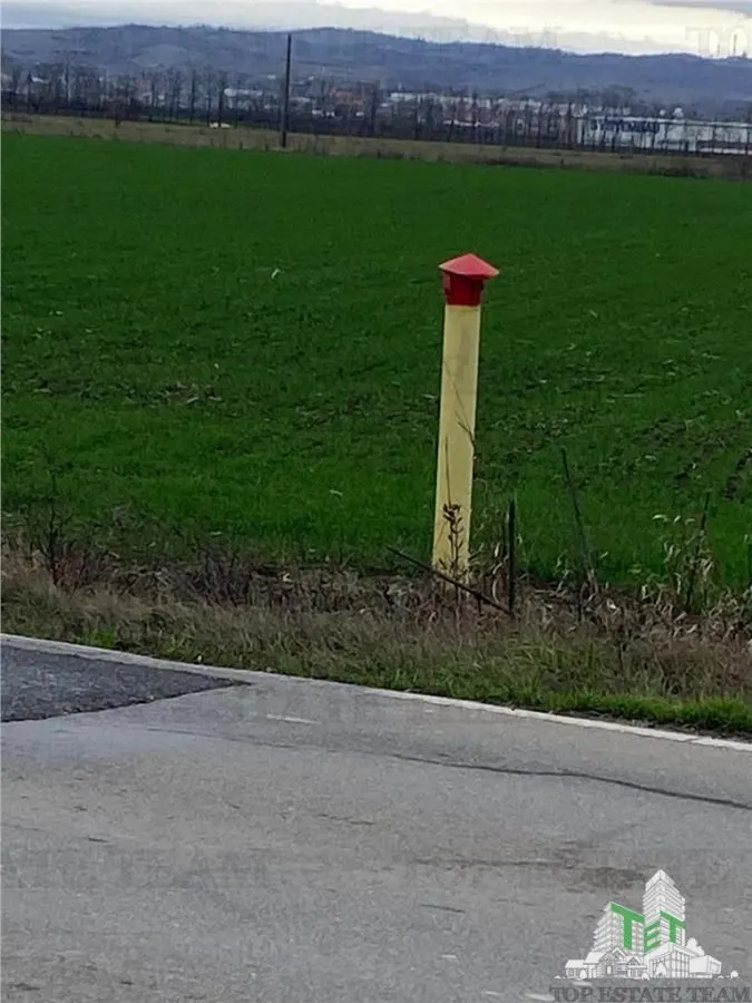 Teren Extravilan 60 HA, in Berceni-Prahova, investitie majora - foto 4
