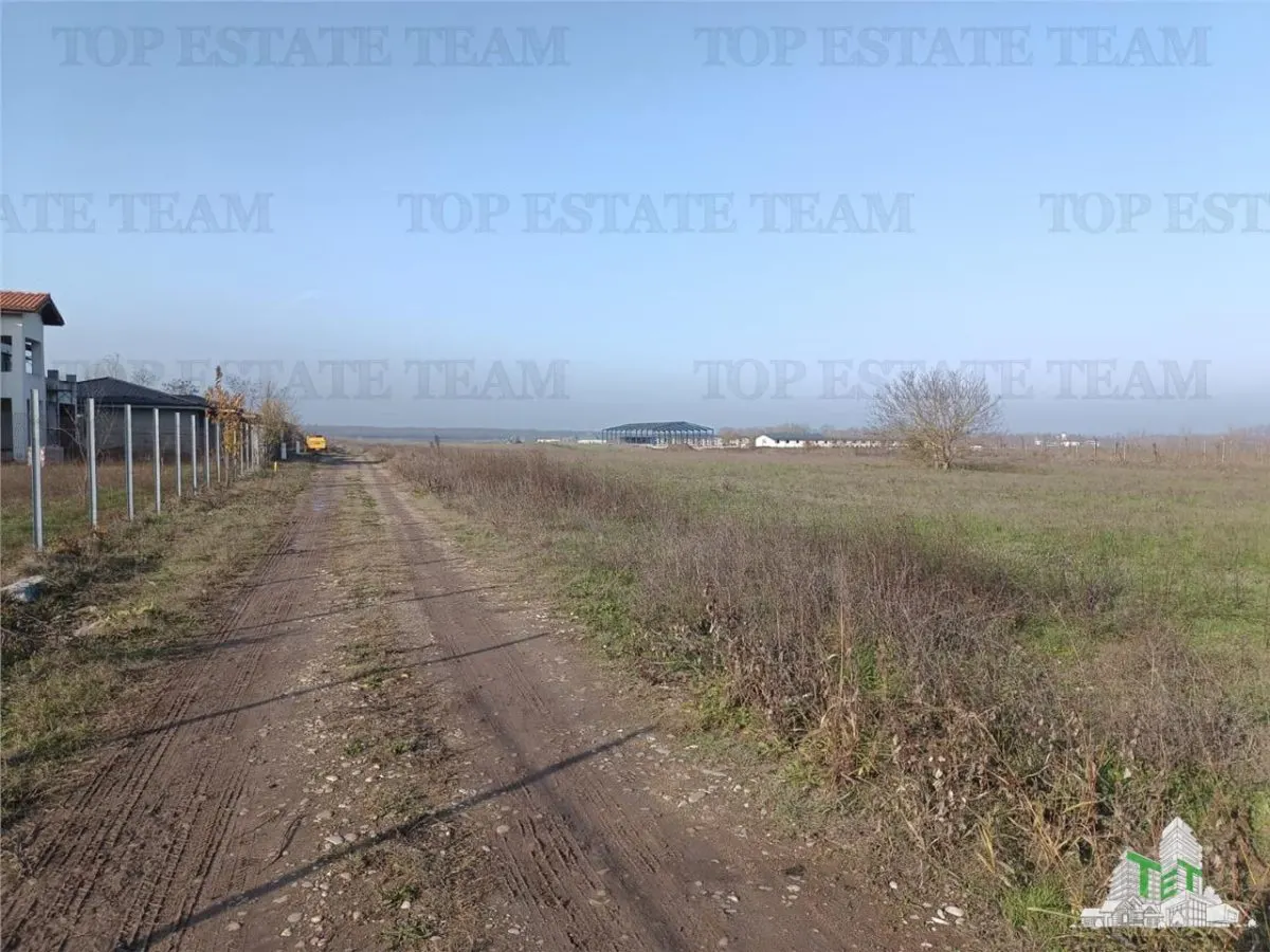 Teren intravilan la  DJ 101, in Gruiu, aproape de manastirea Caldarusani, ideal pt dezvoltatori imobiliari pt imobile cu regim de inaltime de S+P+2E! - foto 3