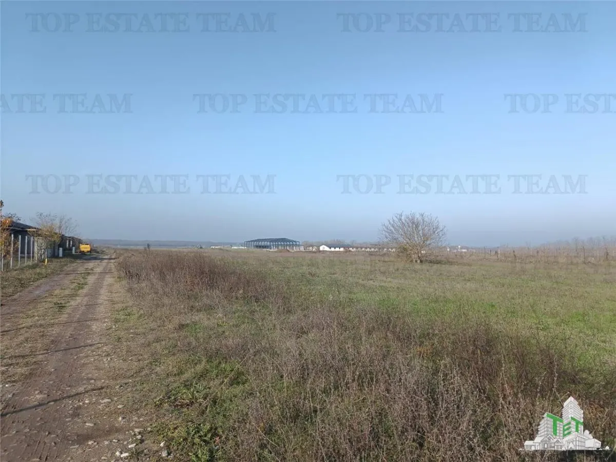 Teren intravilan la  DJ 101, in Gruiu, aproape de manastirea Caldarusani, ideal pt dezvoltatori imobiliari pt imobile cu regim de inaltime de S+P+2E! - foto 6