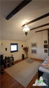 Apartament de 3 camere ultracentral, 2 intrari, lift cu acces privat, pod pentru depozitare, centrala proprie, in sectorul 2 - foto 7
