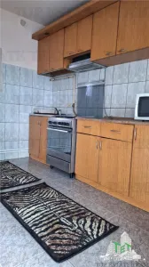 Vila moderna + casa renovata cu 2 apartamente si teren generos  -  Palazu Mare , Constanta - foto 16