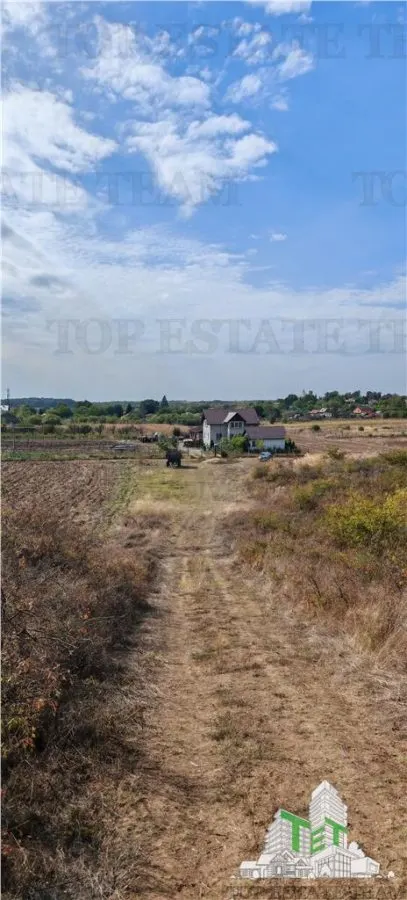 Ferma 3,3ha, din care 2,5ha intravilan, vila 7 camere, D+P+E+M, casa pentru muncitori, grajd animale, livada, culturi porumb si grau, PODISOR/GIURGIU - foto 12