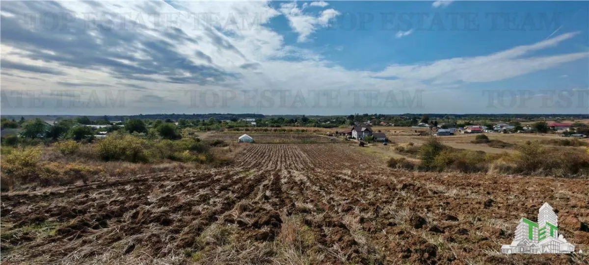 Ferma 3,3ha, din care 2,5ha intravilan, vila 7 camere, D+P+E+M, casa pentru muncitori, grajd animale, livada, culturi porumb si grau, PODISOR/GIURGIU - foto 7