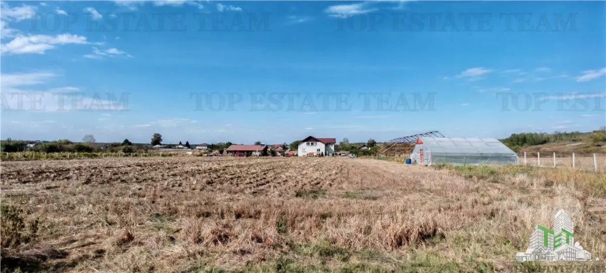 Ferma 3,3ha, din care 2,5ha intravilan, vila 7 camere, D+P+E+M, casa pentru muncitori, grajd animale, livada, culturi porumb si grau, PODISOR/GIURGIU - foto 9