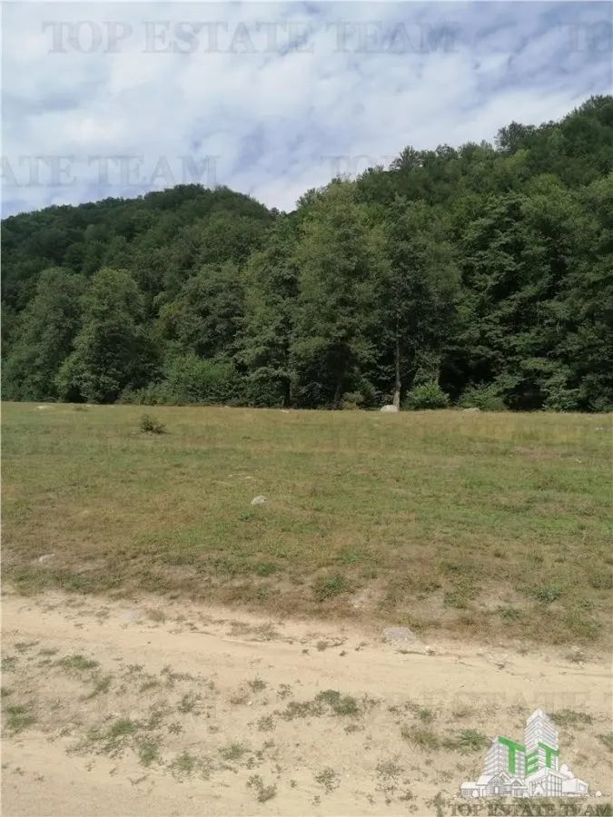 Teren intravilan - Berevoiesti - Arges - foto 3