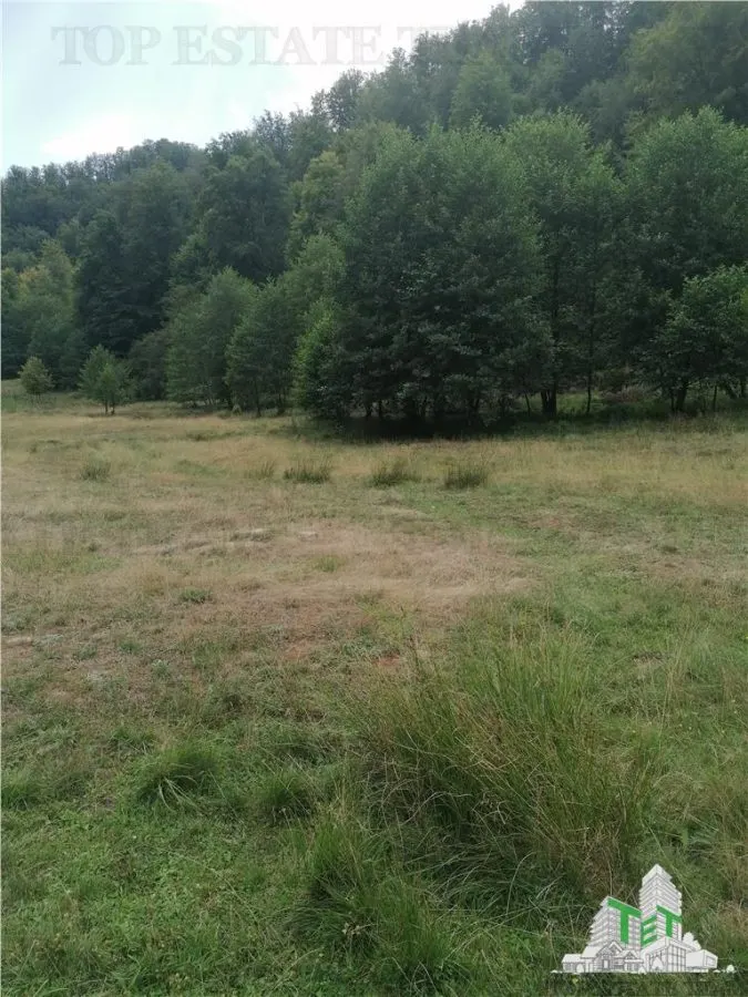 Teren intravilan - Berevoiesti - Arges - foto 5