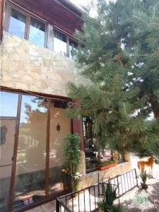 Super afacere, vila cu aspect de conac cu spatii moderne dar si clasice antichizate, orientale sau art-deco avand o curte superba ! - Clinceni