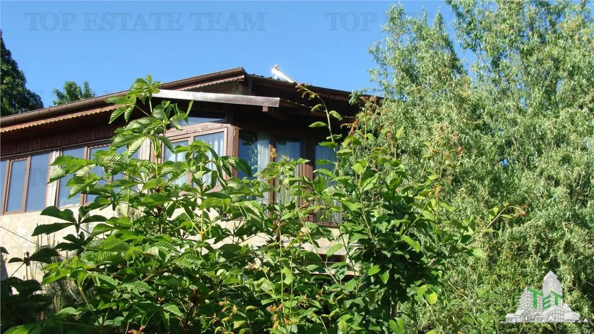 Super afacere, vila cu aspect de conac cu spatii moderne dar si clasice antichizate, orientale sau art-deco avand o curte superba ! - foto 2