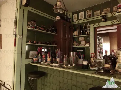 Super afacere, vila cu aspect de conac cu spatii moderne dar si clasice antichizate, orientale sau art-deco avand o curte superba ! - foto 13
