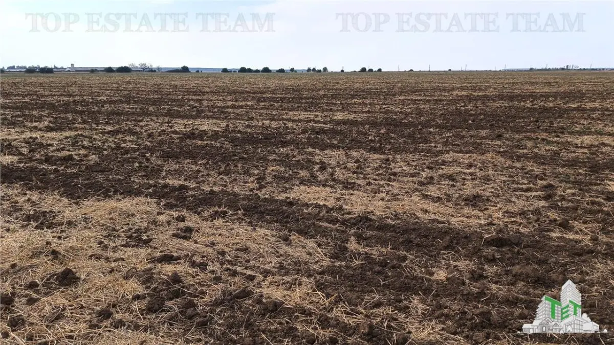 Oferim spre vanzare 6 loturi de teren extravilan (agricol) in Petrachioaia ILFOV la doar  1,9 euro/mp. - foto 12