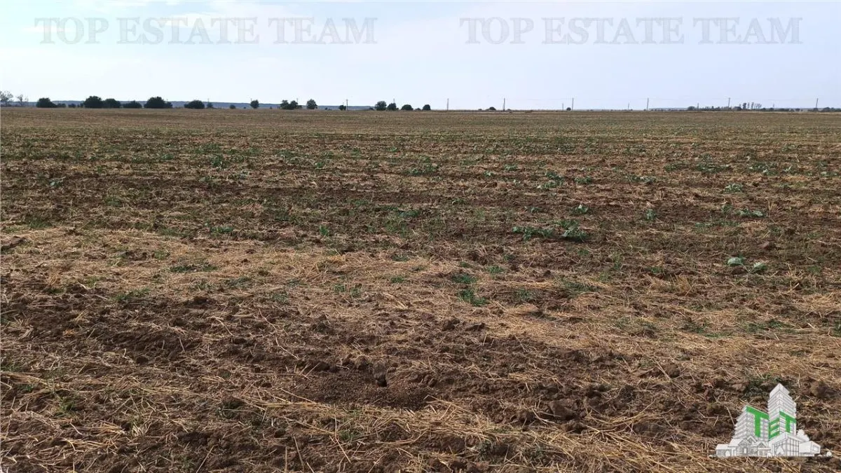 Oferim spre vanzare 6 loturi de teren extravilan (agricol) in Petrachioaia ILFOV la doar  1,9 euro/mp. - foto 13