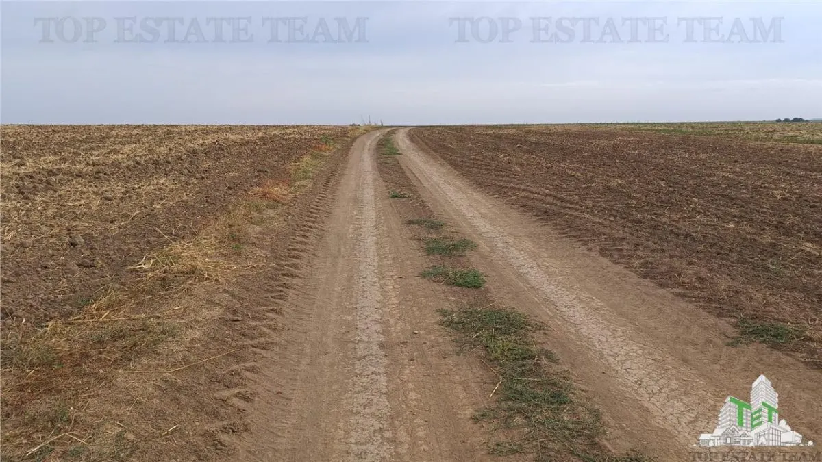 Oferim spre vanzare 6 loturi de teren extravilan (agricol) in Petrachioaia ILFOV la doar  1,9 euro/mp. - foto 14