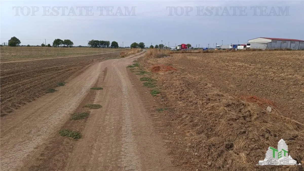 Oferim spre vanzare 6 loturi de teren extravilan (agricol) in Petrachioaia ILFOV la doar  1,9 euro/mp. - foto 15