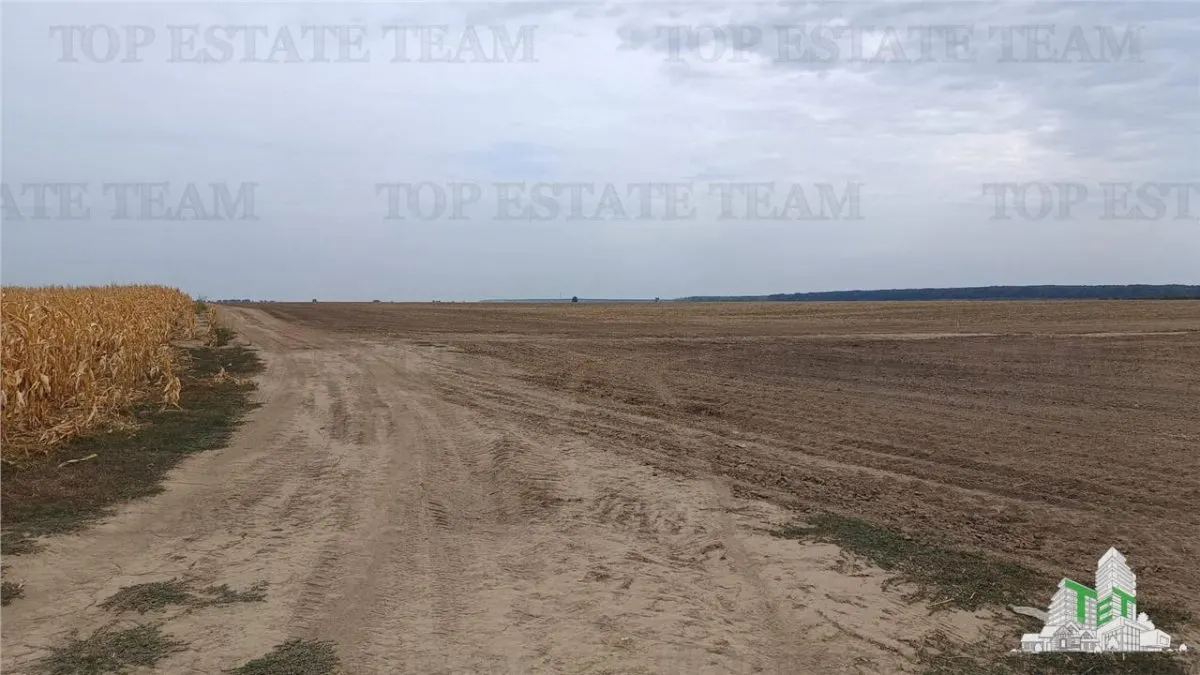 Oferim spre vanzare 6 loturi de teren extravilan (agricol) in Petrachioaia ILFOV la doar  1,9 euro/mp. - foto 3