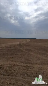 Oferim spre vanzare 6 loturi de teren extravilan (agricol) in Petrachioaia ILFOV la doar  1,9 euro/mp. - foto 4