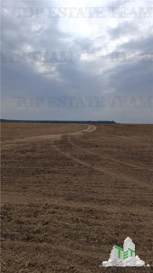 Oferim spre vanzare 6 loturi de teren extravilan (agricol) in Petrachioaia ILFOV la doar  1,9 euro/mp. - foto 4