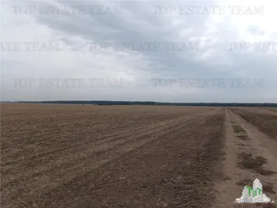 Oferim spre vanzare 6 loturi de teren extravilan (agricol) in Petrachioaia ILFOV la doar  1,9 euro/mp. - foto 5