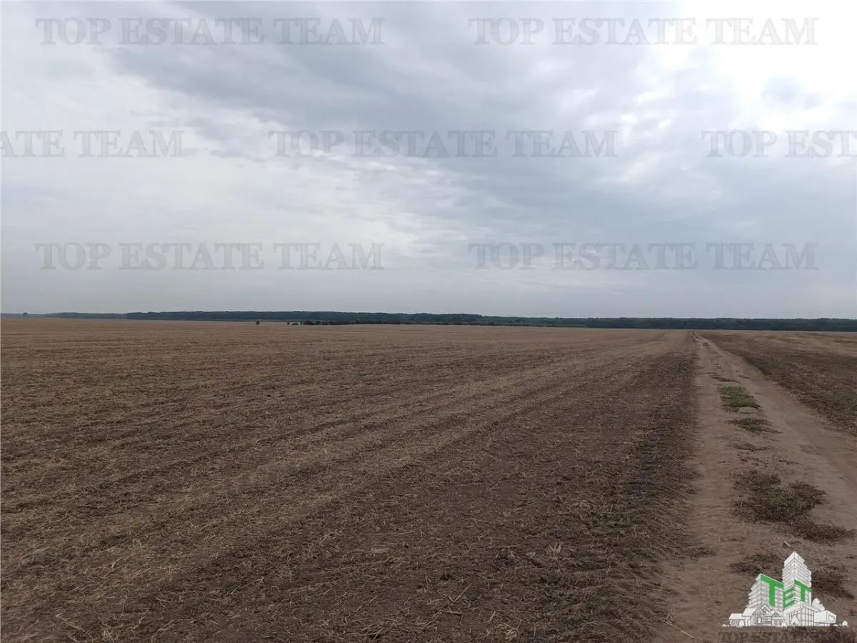 Oferim spre vanzare 6 loturi de teren extravilan (agricol) in Petrachioaia ILFOV la doar  1,9 euro/mp. - foto 5