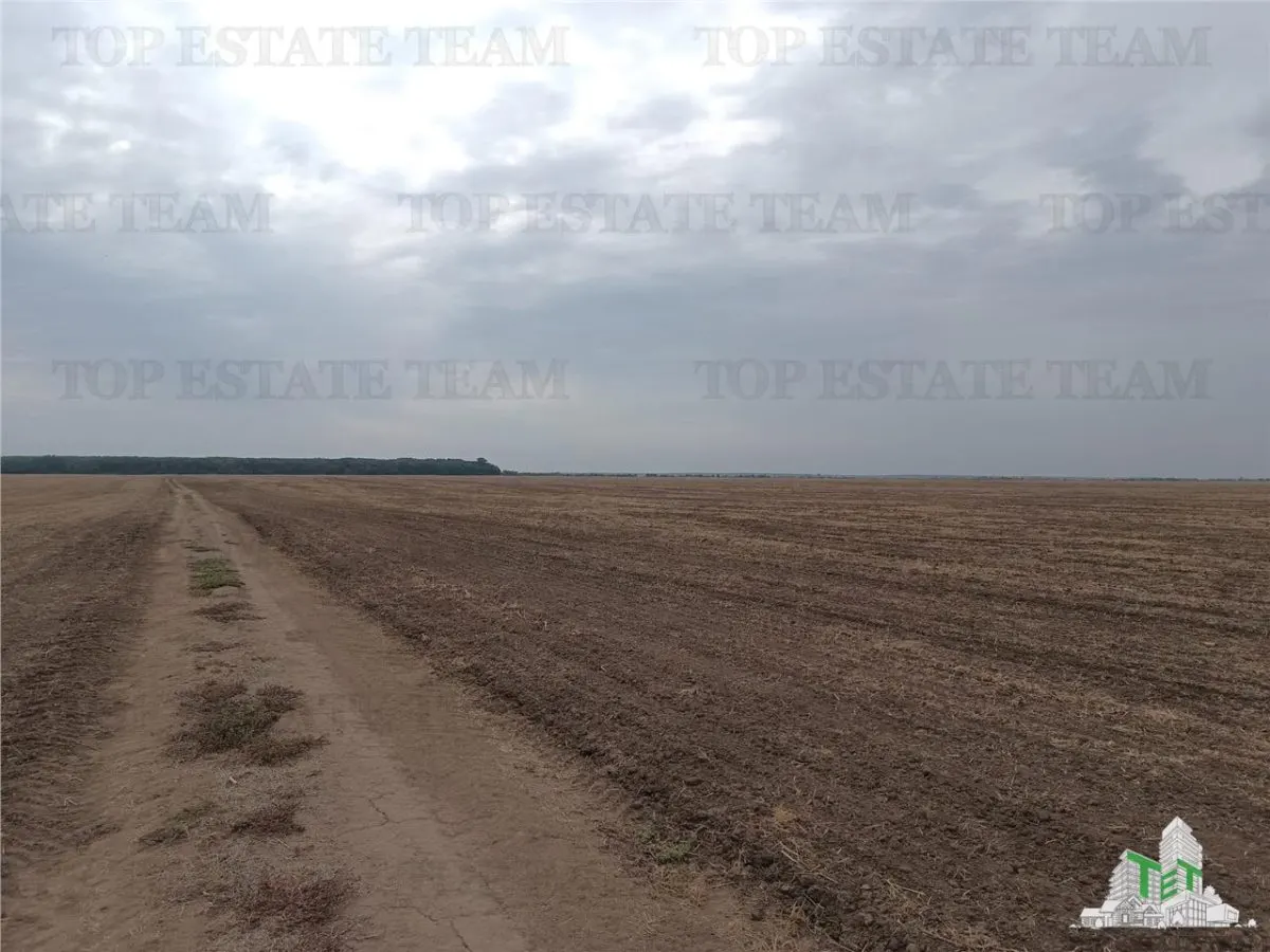 Oferim spre vanzare 6 loturi de teren extravilan (agricol) in Petrachioaia ILFOV la doar  1,9 euro/mp. - foto 6