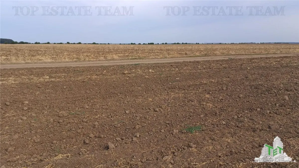 Oferim spre vanzare 6 loturi de teren extravilan (agricol) in Petrachioaia ILFOV la doar  1,9 euro/mp. - foto 9
