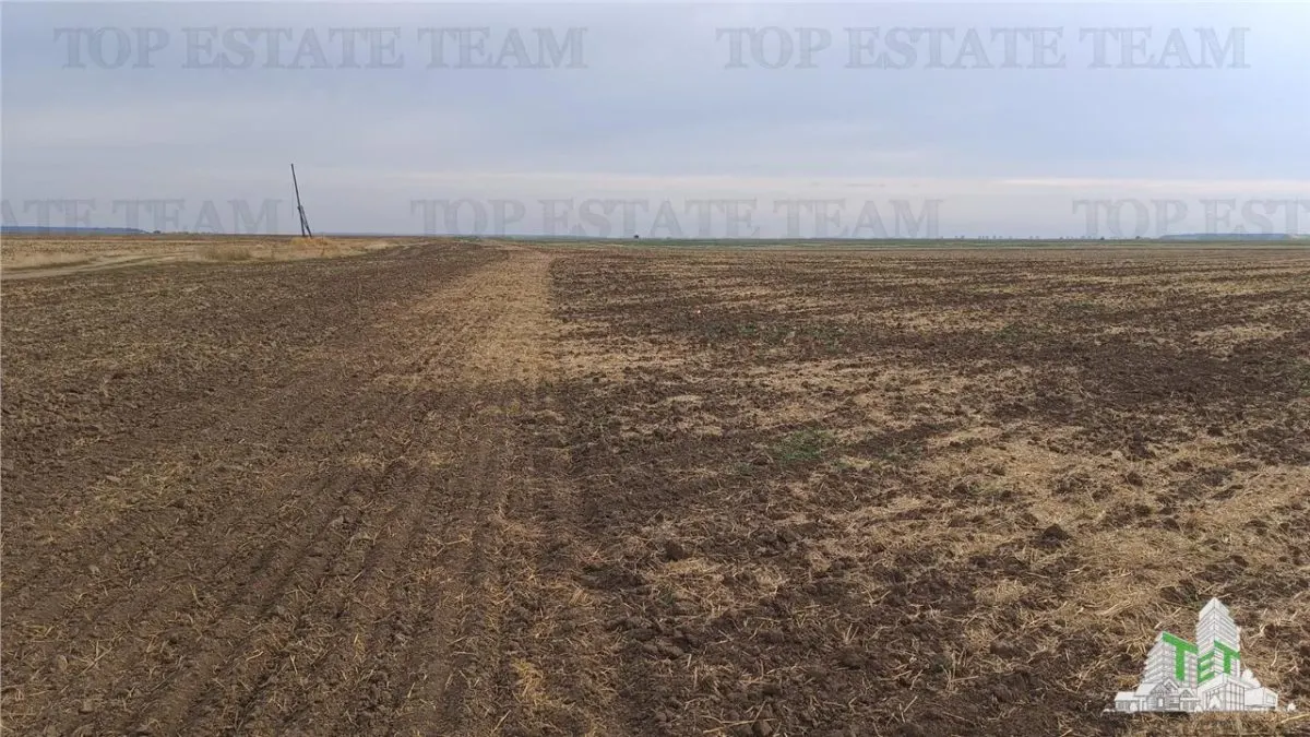 Oferim spre vanzare 6 loturi de teren extravilan (agricol) in Petrachioaia ILFOV la doar  1,9 euro/mp. - foto 10
