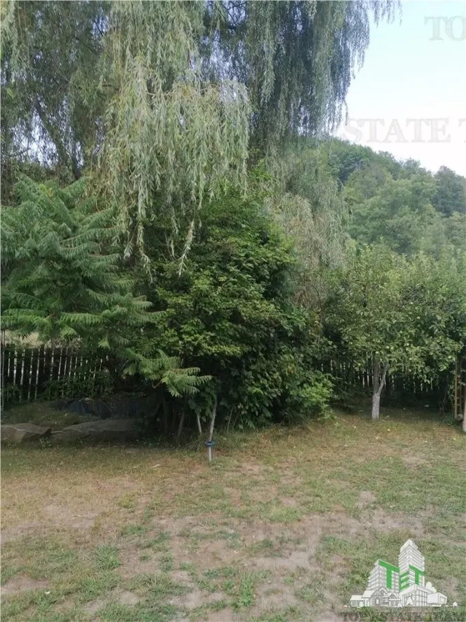 Casa de vacanta in Arges - foto 2