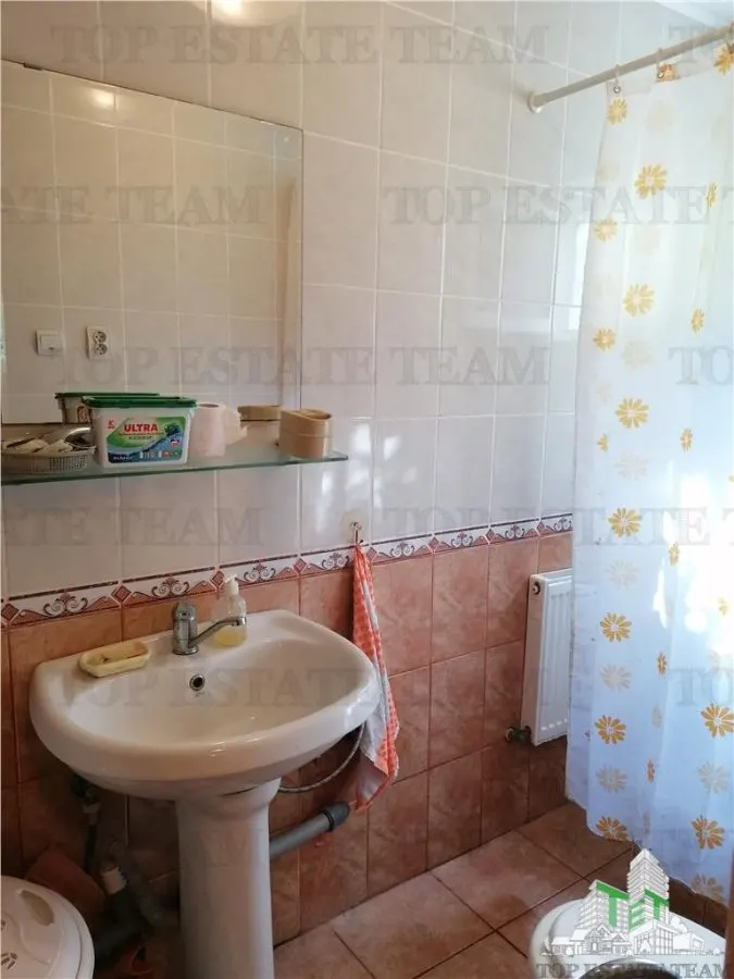 Casa de vacanta in Arges - foto 11