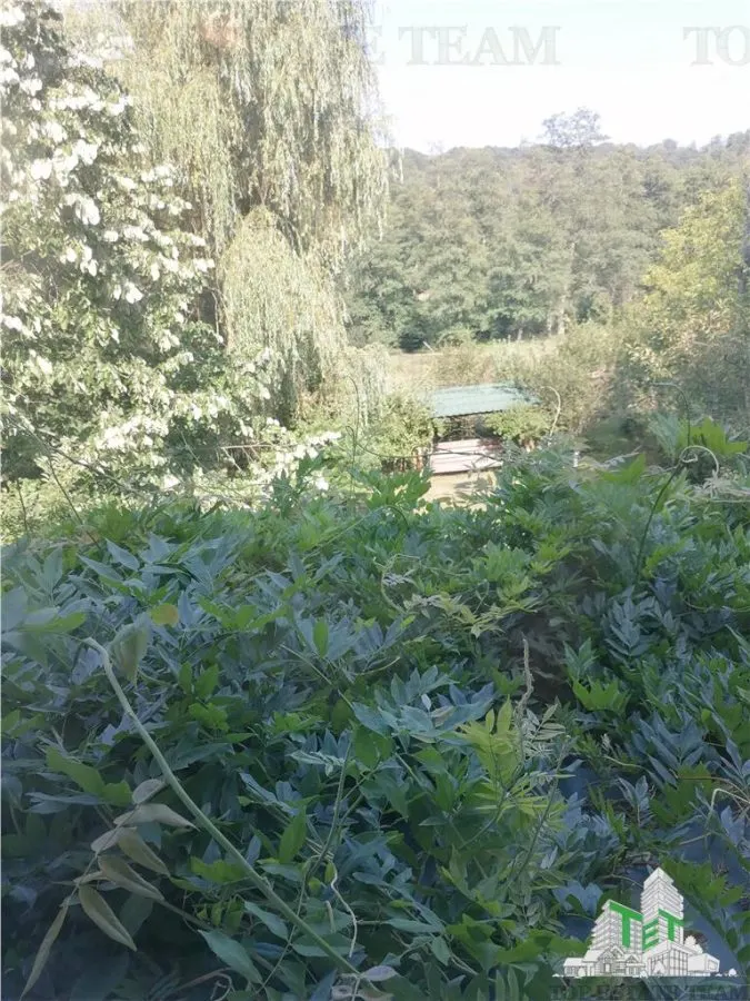 Casa de vacanta in Arges - foto 15