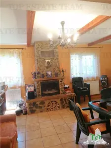 Casa de vacanta in Arges - foto 3