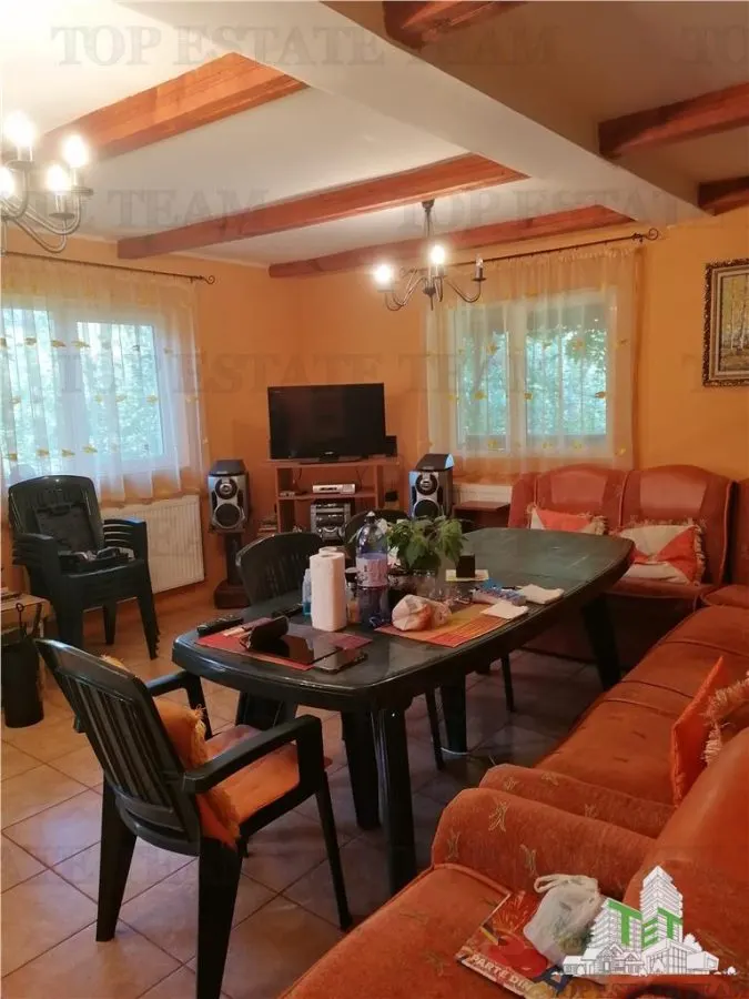 Casa de vacanta in Arges - foto 4
