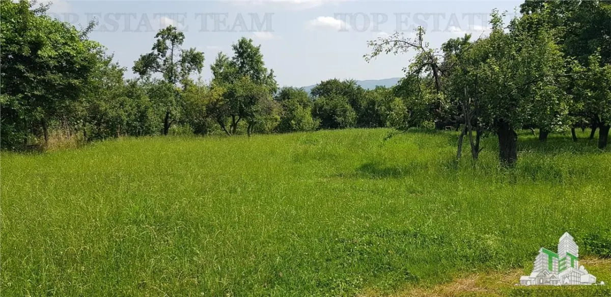 Teren intravilan Campulung - 2.957 mp cu livada, anexa si acces utilitati, Campulung-Muscel, zona Valea Ursului, 23â‚¬/mp, negociabil - foto 3