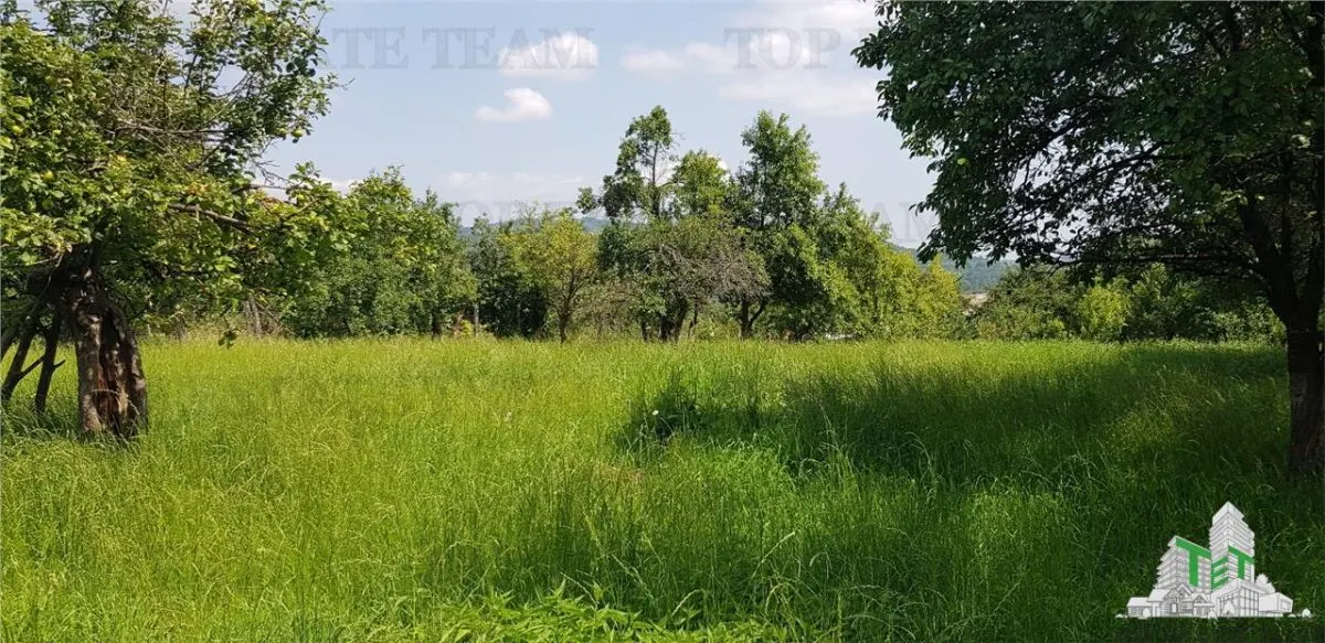 Teren intravilan Campulung - 2.957 mp cu livada, anexa si acces utilitati, Campulung-Muscel, zona Valea Ursului, 23â‚¬/mp, negociabil - foto 4