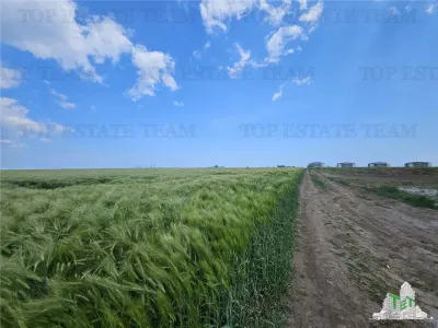 TEREN INTRAVILAN 50000 MP AGIGEA ZONA RO RO - foto 8