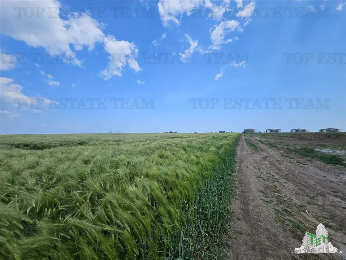 TEREN INTRAVILAN 50000 MP AGIGEA ZONA RO RO - foto 8