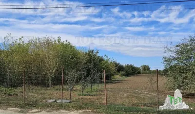 Teren stradal si intravilan 2431mp, P+1E+Pod,Magurele, Ilfov - foto 3
