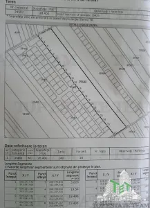 Teren intravilan 51000 mp - Oportunitate rara in Vasilati, Calarasi! - foto 4
