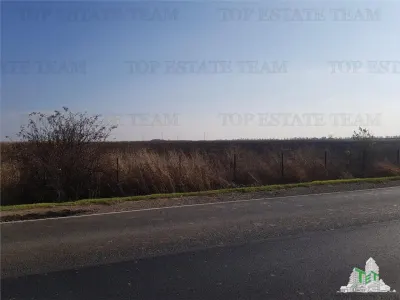 Teren extravilan - Braila - E584 - vanzare - Braila