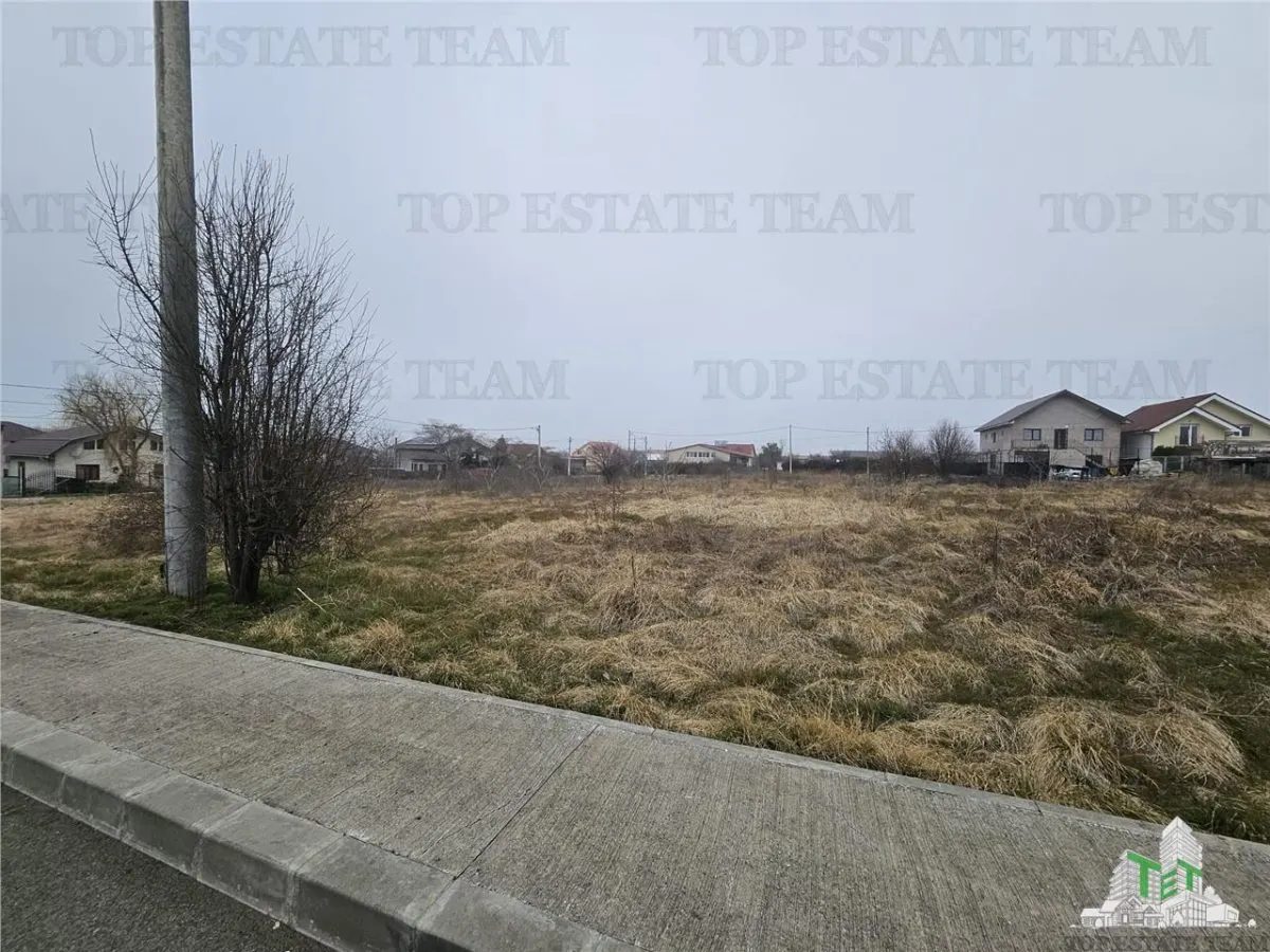 TEREN INTRAVILAN 1000 MP COSTINESTI - foto 1