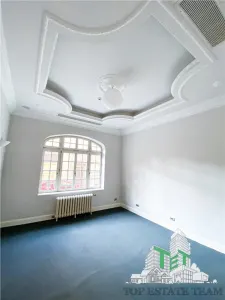 Vanzare vila interbelica reconsolidata si renovata in zona Armeneasca - foto 9