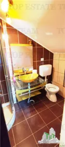 VANZARE PROPIETATE 2 CASE OTOPENI - foto 11